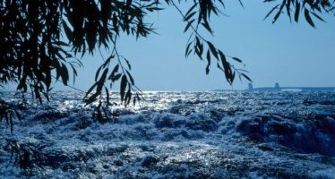 Niagara River above the
          escarpment, from Goat Island, ~1968.